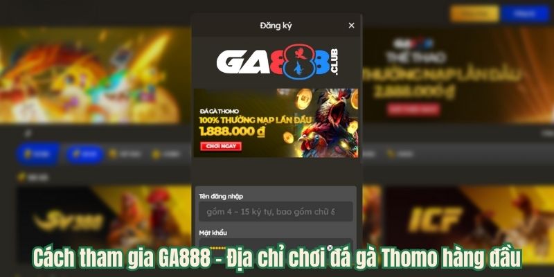 Cách tham gia GA888 – Địa chỉ chơi đá gà Thomo hàng đầu