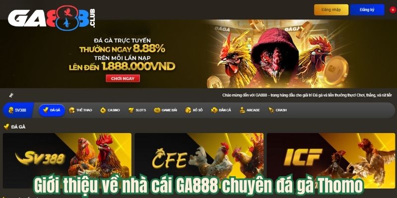Giới thiệu về nhà cái GA888 chuyên đá gà Thomo